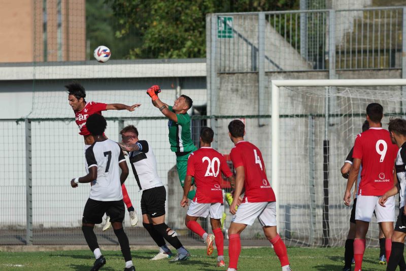 Allenamento congiunto tra Piacenza e Fanfulla